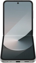 Смартфон Samsung Galaxy Z Flip6 SM-F741B 12GB/512GB (серый) - фото